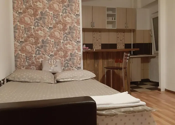 Διαμέρισμα Timpuri Noi 50 *